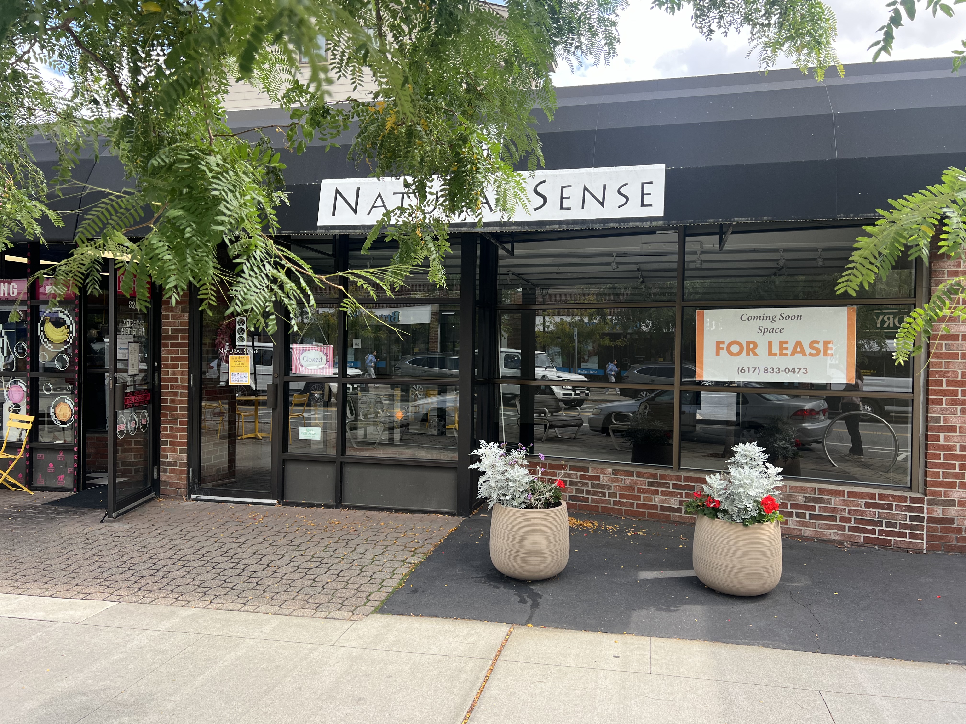 326 Walnut Street, Newton for sale