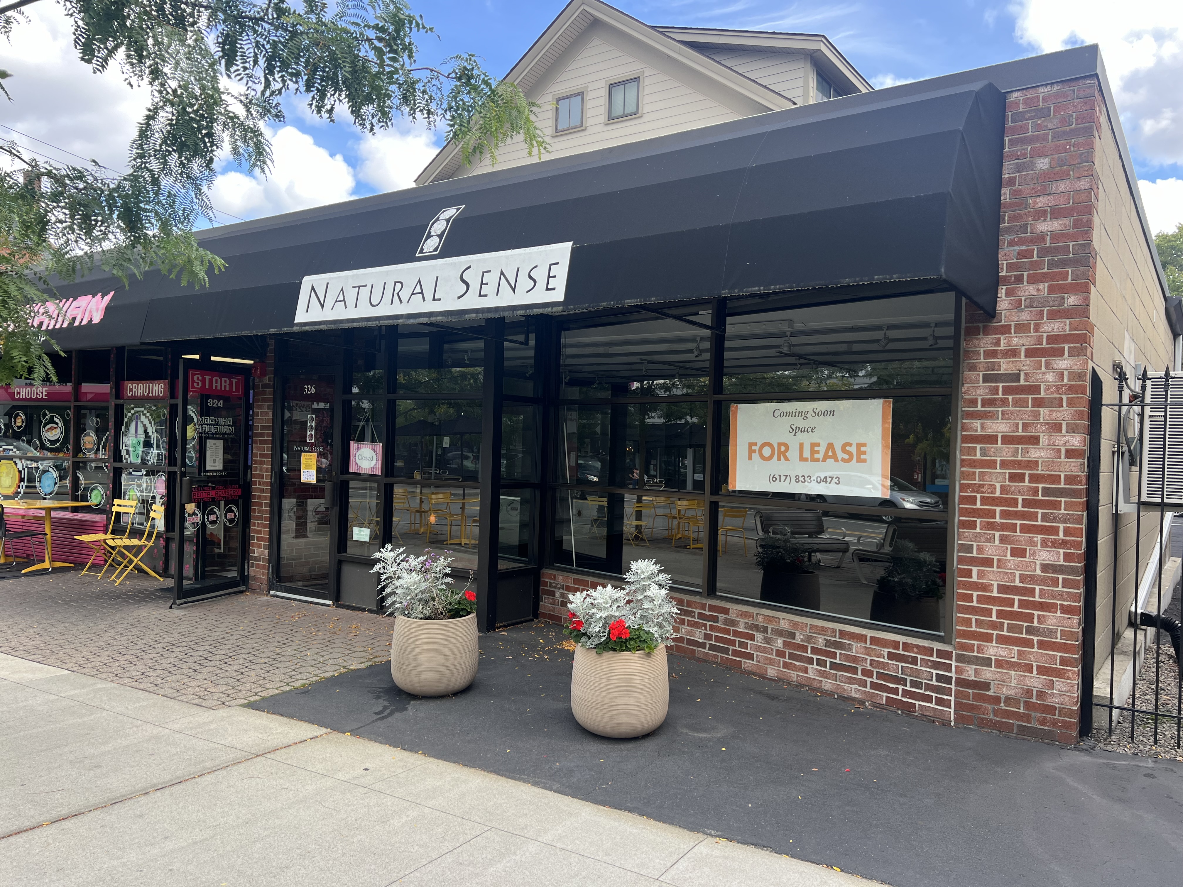 326 Walnut Street, Newton for sale